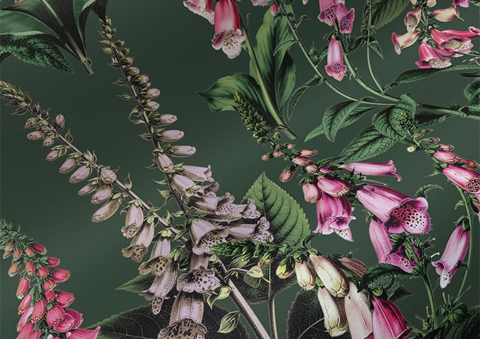 Foxcote, Coles Green - Roller Blind - Image 4